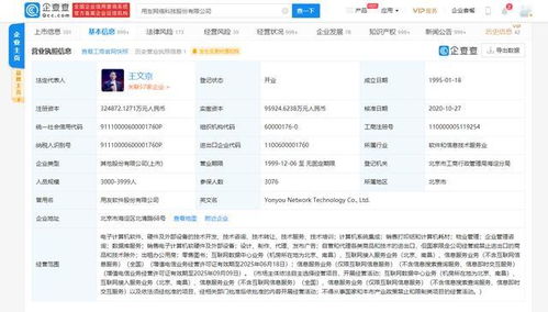 計(jì)算機(jī)系統(tǒng)集成服務(wù) 構(gòu)建企業(yè)數(shù)字化轉(zhuǎn)型的核心基石