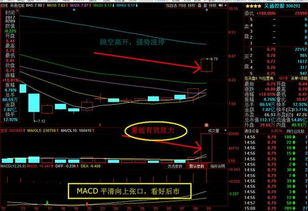 計(jì)算機(jī)系統(tǒng)集成服務(wù)板塊 深度解析后市強(qiáng)勁增長(zhǎng)潛力