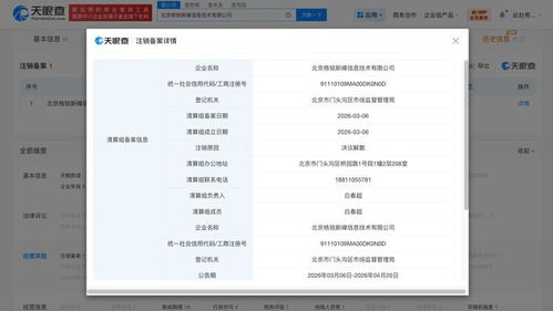 陳震關(guān)聯(lián)公司擬注銷 計(jì)算機(jī)系統(tǒng)集成服務(wù)的市場(chǎng)變遷與行業(yè)反思